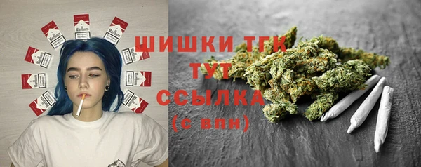 гидропоника Бородино