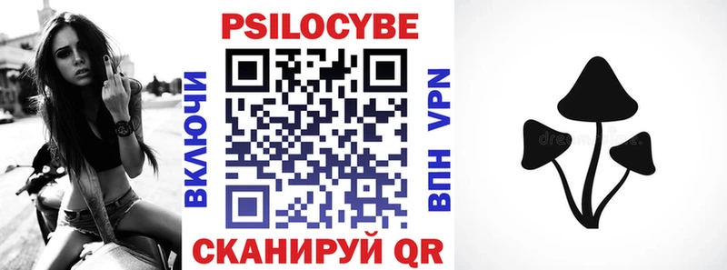 мега tor  Клин  Псилоцибиновые грибы GOLDEN TEACHER 
